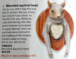 Mounted Squirrel from SkyMall Catalog