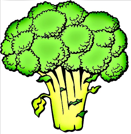 brocolli green poop causes