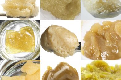 Live Rosin: All There Is To Know About The Concentrate And Its Pain Relief Potential