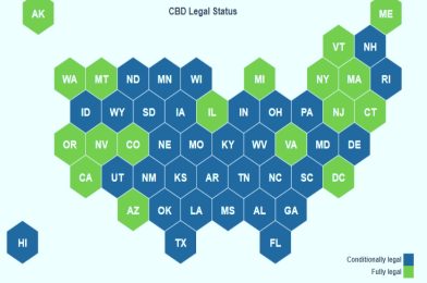 Discovering the best CBD stores and CBD oil shop near you