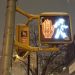 Stop / Don't Stop Crosswalk Confusion